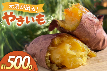[期間限定発送] 焼き芋 「元気が出るやきいも(フローズン)」紅はるか 500g 冷凍 [うみとやきいもラッキーズ 静岡県 吉田町 22424682]
