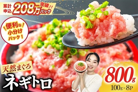 [ふるなび限定][準備でき次第発送]ネギトロ 8パック (計800g) [マルハニチロオーシャン 静岡県 吉田町 22424644-a] FN-Limited