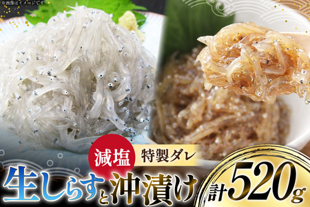 生しらす 160gx2パック と沖漬け 100g × 2パック 計520g 食べ比べ 小分け セット [丸三水産 静岡県 吉田町 22424697]