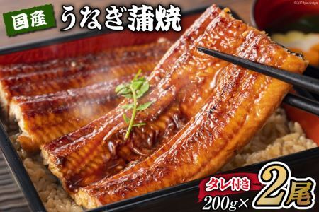 YȂ  2 Zbg 200g×2 ^t [ނ炽 É gc 22424002] Ȃ V EiM Ă Ⓚ