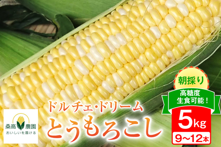 �y���Ԍ��蔭���z���̂悤�Ȕ��������I���H�\ �����x �Ƃ����낱�� �h���`�F�E�h���[�� 5kg (9�`12�{) [�K���_�� �É��� �g�c�� 22424251]