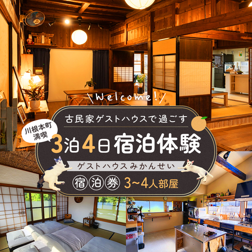 古民家ゲストハウスで過ごす川根本町満喫3泊4日宿泊体験|ゲストハウスみかんせい宿泊券(3-4人部屋)