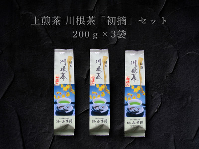 上煎茶 川根茶「初摘」セット 200g×3袋
