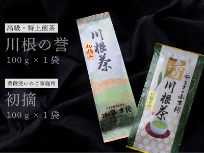 6-7 厳選川根茶 ２種おすすめセット