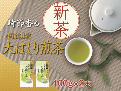 新茶 静岡川根茶大走り新茶100g×2本