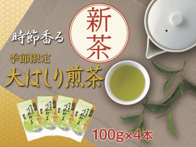 22-10 新茶 静岡川根茶大走り新茶100g×4本