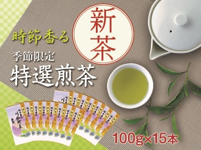 33-13 新茶 静岡川根茶　特選新茶100g×15本