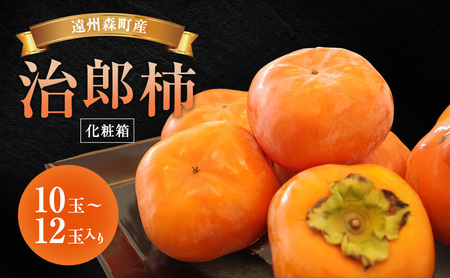 BXYY` 10ʁ`12(3.7kg) ϔ `  ʕ t[c Ê` c Y` uh 炩 i RN Ê`̉l X É