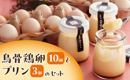 �����{���i10�j�ƃv�����i3�j�̃Z�b�g ���܂� �G���{ �v���� �X�C�[�c ���َq �É��� �X��