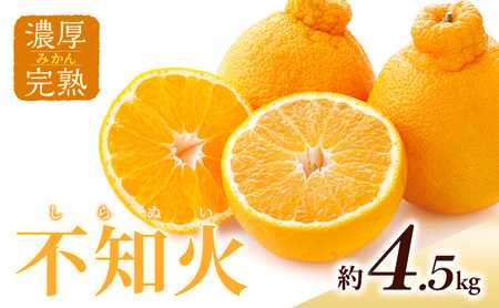 濃厚・完熟 みかん「不知火」A品(ちょいきず) 果物 フルーツ 柑橘 ミカン デコポン 甘い デザート ビタミン 家庭用 大容量 産地直送 静岡県 森町