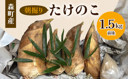 [3月下旬より順次発送]森町産朝掘りたけのこ1.5kg前後 たけのこ 筍 タケノコ 春の味覚 こだわり 朝堀り 当日出荷 かぐや姫 甘い 静岡県 森町 2026