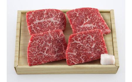 ̐XuXMgv݂틍@Xe[Lp()