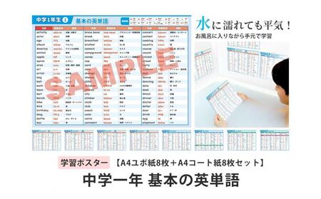 学習ポスター 英語 中学一年 基本の英単語[A4ユポ紙8枚+A4コート紙8枚セット]
