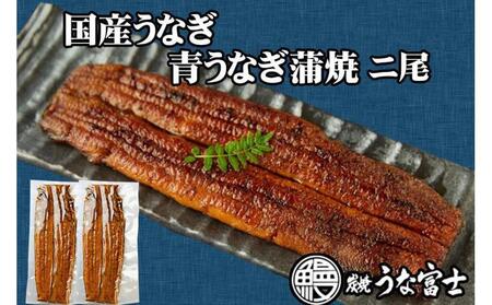 [全4回]炭焼うな富士 国産特大青うなぎ長焼二尾入り 定期便