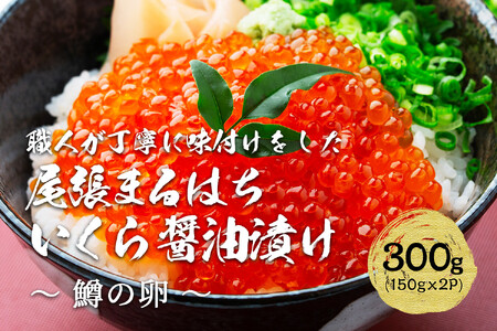  ݖЂ 300g(150g×2P) ̗ Ⓚ ܂͂