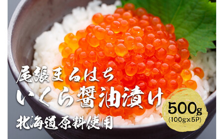  ݖЂ 500g (100g×5P) kC H Ⓚ ܂͂