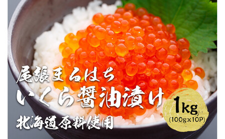  ݖЂ 1kg (100g×10P) kC H Ⓚ ܂͂