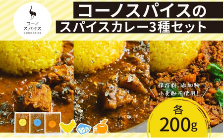 コーノスパイス スパイスカレー3種セット チキンカレー サバと大根のカレー キーマカレー 各200gパック 小麦粉不使用 グルテンフリー CONO SPICE コーノコーラ 愛知県 名古屋市