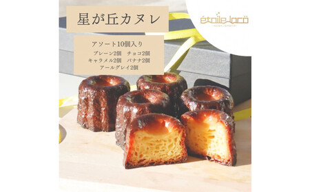 yuJk A\[gZbg10@5̃t[o[ztX̏Ăَq XC[c   Ⓚ m lC 