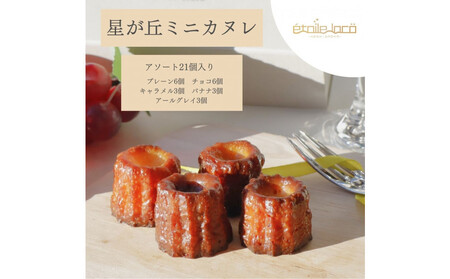 yu~jJk A\[gZbg21@5̃t[o[ztX̏Ăَq XC[c   Ⓚ m lC 