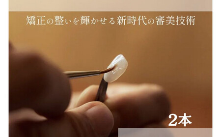 ブラックフィルム施術券(2本)