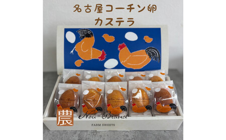 名古屋コーチン卵 カステラ(10個入り)