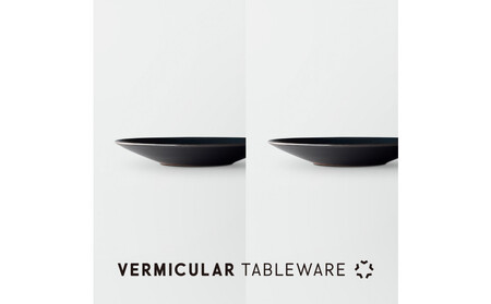 Tableware Flat Plateペアセット24cm 藍墨