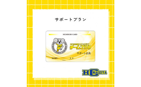 �y�g�b�v�X�|�[�c�`�[�������x�����Ɗ񕍋���p�zHC���É��I�t�B�V�����t�@���N���u����N�[�|���i�T�|�[�g�v�����j