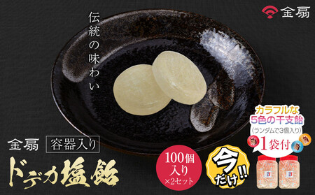 ＼年末感謝祭/金扇 容器入りドデカ塩飴 100個入り×2ポット [今だけ特別規格] | 名古屋市 ふるさと納税 感謝祭 あめ 飴 ドロップ ばらまき 大容量 人気 おすすめ