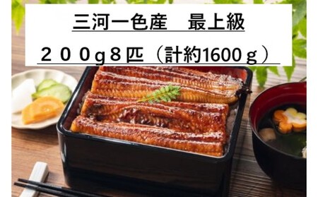 [三河一色産うなぎ] 超特上8匹 (計1600g)老舗 和食 魚兼 国産 高級