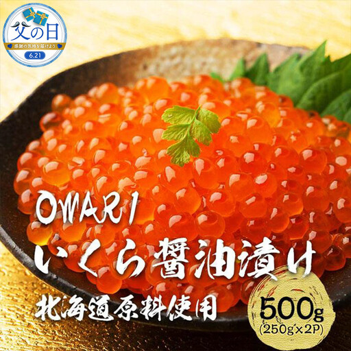 【父の日】いくら 醤油漬け 500g（250g×2P） 北海道 鮭卵 訳あり 化粧箱入 冷凍 尾張まるはち