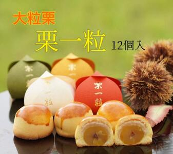 栗一粒12個入り
