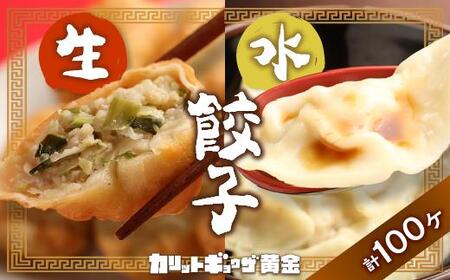 カリットギョウザやまもりセット2種(100ケ)餃子60 水餃子40