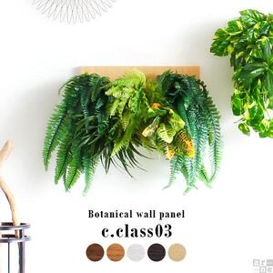 Botanical c.class 03　ブラウン