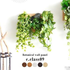Botanical c.class 09　ブラウン