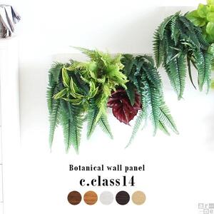 Botanical c.class 14　ダークブラウン