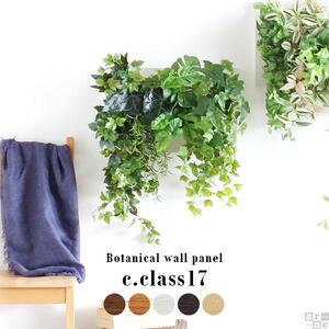 Botanical c.class 17　北欧チーク