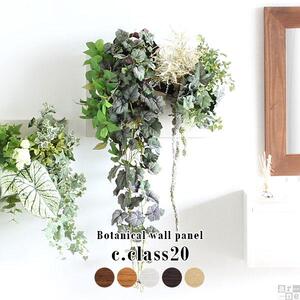 Botanical c.class 20　ホワイトウッド