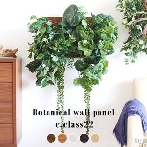 Botanical c.class 22　ダークブラウン