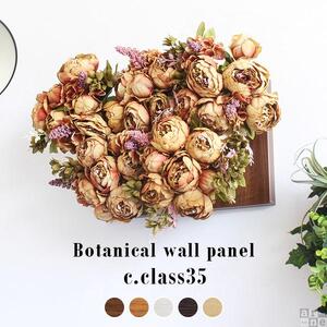 Botanical c.class 35　ダークブラウン