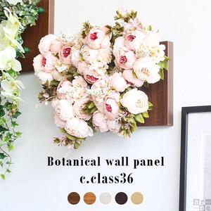 Botanical c.class 36　北欧チーク