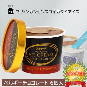 アイス ベルギーチョコ 6個 シンカンセンスゴイカタイアイス 