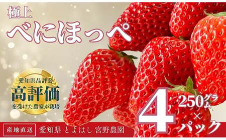 ≪先行予約≫ 極上 紅ほっぺ 計1kg ( 約250g × 4 ) いちご イチゴ 苺 べにほっぺ 旬 果物 採れたて 12000円 1万2千円 ショートケーキ サンド 産地直送 完熟 国産 冷蔵 愛知県 豊橋市