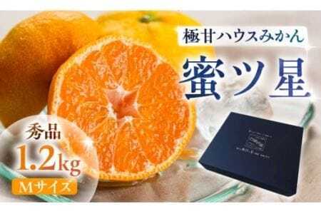 ≪先行予約≫ 濃厚ハウスみかん『蜜ツ星』秀品1.2kg(Mサイズ12玉) みかん 高糖度みかん 甘いみかん 農家みかん 農家直送みかん