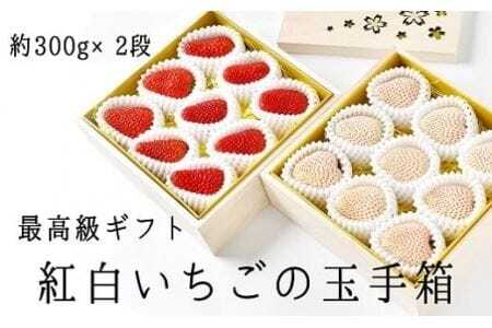 最高級ギフト「紅白いちごの玉手箱」2段桐箱入(赤・白各約300g 計約600g)イチゴ いちご イチゴ