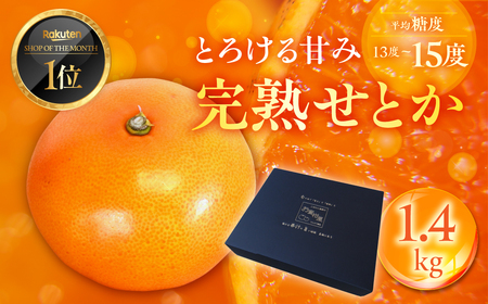 ≪先行予約≫ 大トロみかん『木熟せとか』黒の化粧箱 厳選プレミアム 1.4kg みかん 高糖度みかん 甘いみかん 農家みかん 農家直送みかん