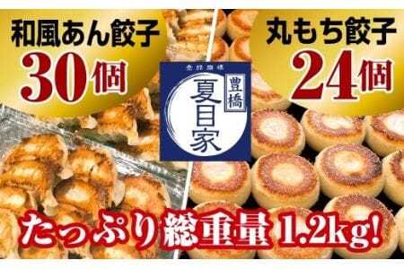 夏目家の『和風あん餃子』30個と『丸もち餃子』24個の食べくらべセット