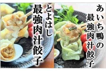 最強肉汁味くらべ『とよはし最強肉汁餃子』と『あいち鴨の最強肉汁餃子の肉汁餃子』(各1箱セット)