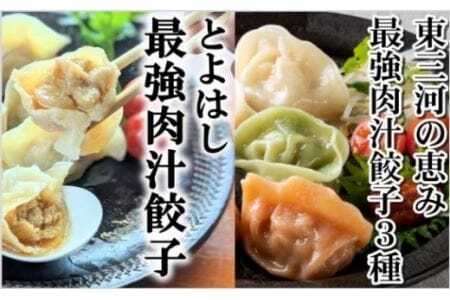 最強肉汁味くらべ『とよはし最強肉汁餃子』と『東三河の恵み最強肉汁餃子3種』(各1箱セット)