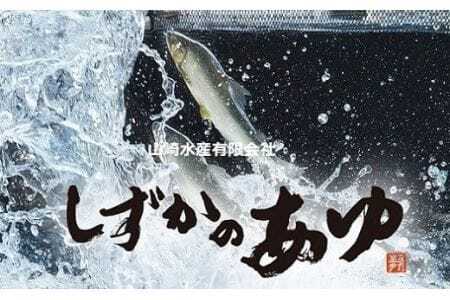 豊橋の新鮮な地下水の流れの中で健康に育てた『しずかのあゆ』冷凍10尾セット